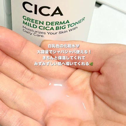 グリーン ダーマCICAビックトナー/ネイチャーリパブリック/化粧水を使ったクチコミ(2枚目)