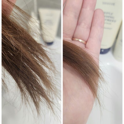 トリプル ボンディング トリートメント/treecell/ヘアマスク・ヘアパックを使ったクチコミ(3枚目)