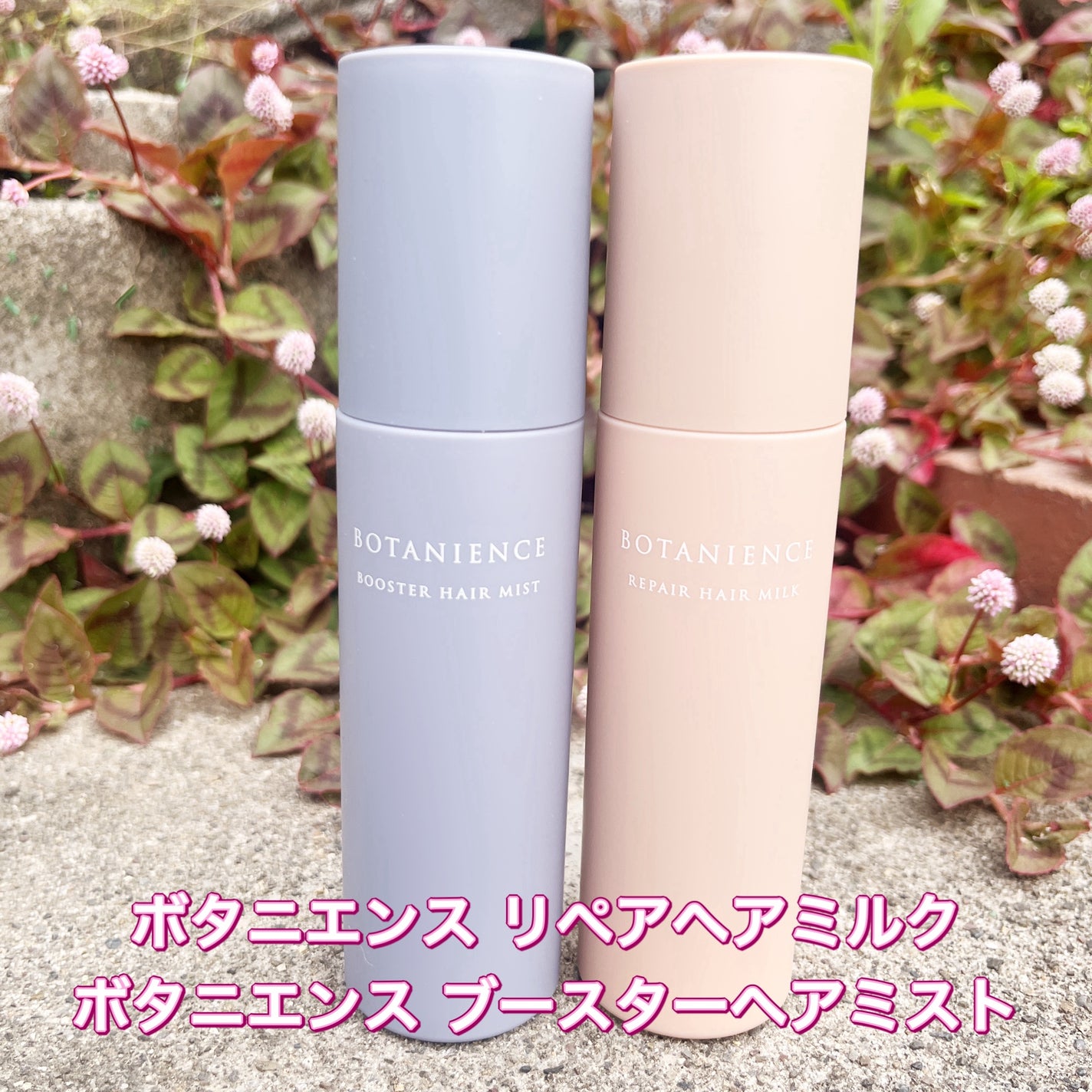 ボタニエンス ブースターヘアミスト/サンコール/アウトバストリートメントを使ったクチコミ(1枚目)