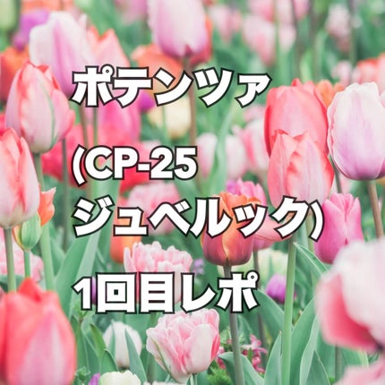 かもめねこ on LIPS 「肌荒れ見せるの苦しいんですが、リアルをお届けします!私はコロナ..」(1枚目)