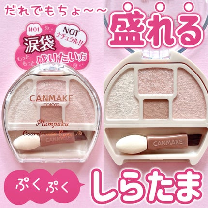プランぷくコーデアイズNeo/キャンメイク/アイシャドウを使ったクチコミ(1枚目)