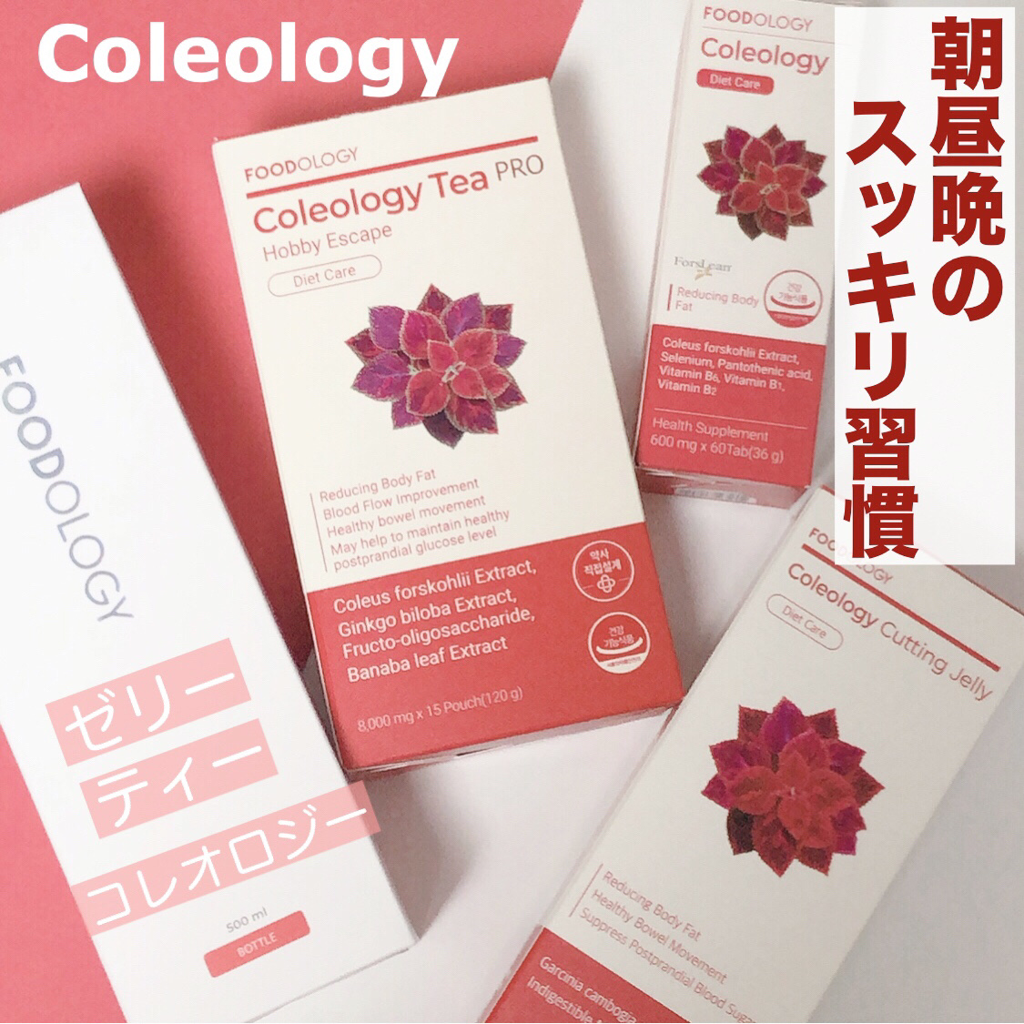 コレオロジーティー/FOODOLOGY/ドリンクを使ったクチコミ（1枚目）