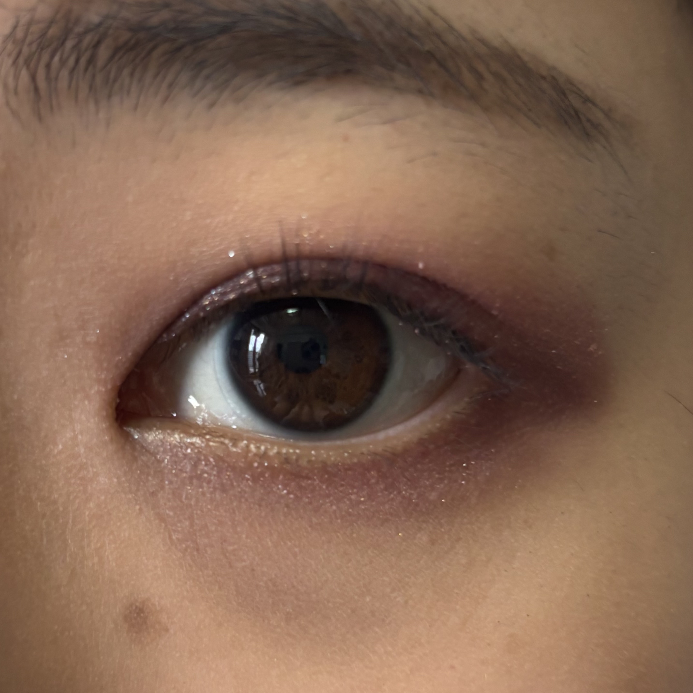 ツイーザー/CCAM BBAK/つけまつげを使ったクチコミ（3枚目）