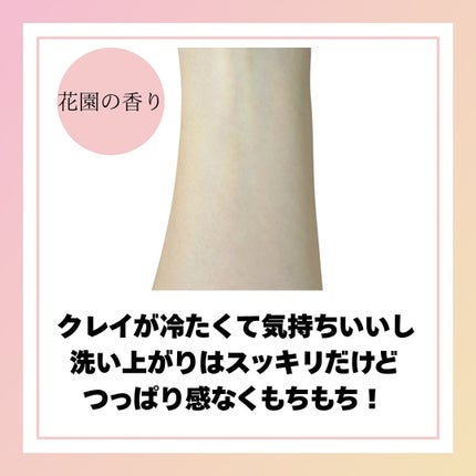 バーニッシュクレイパック 花園/PICALAY/洗い流すパック・マスクを使ったクチコミ(4枚目)