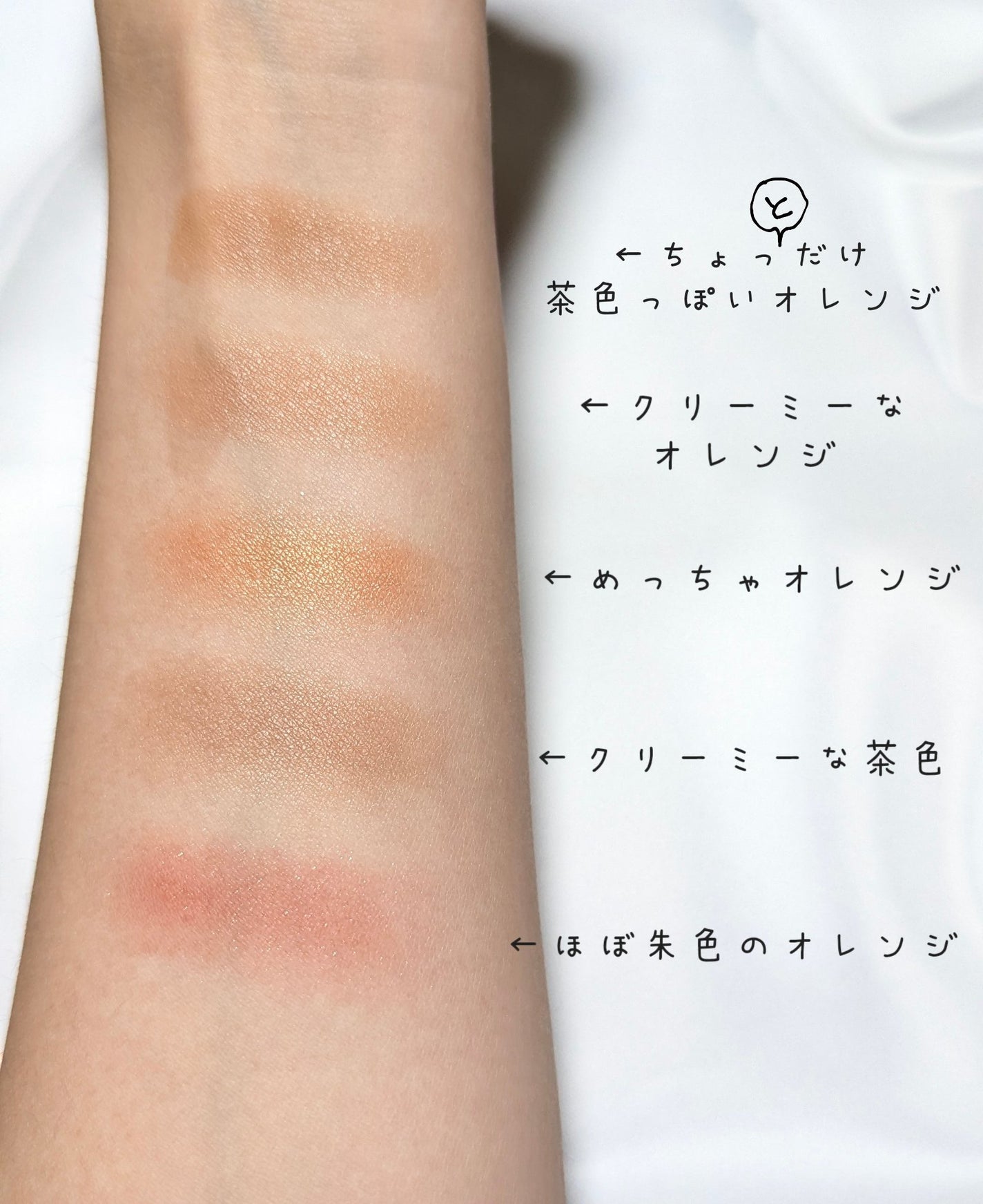 エクスプローラ12色 動物アイシャドウパレット/PERFECT DIARY/アイシャドウパレットを使ったクチコミ(7枚目)