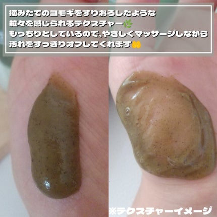 ピュア アルテミシア ディープ クラリファイングマスク トゥ フォーム クレンザー/HANYUL(ハンユル)/クレンジングを使ったクチコミ(3枚目)