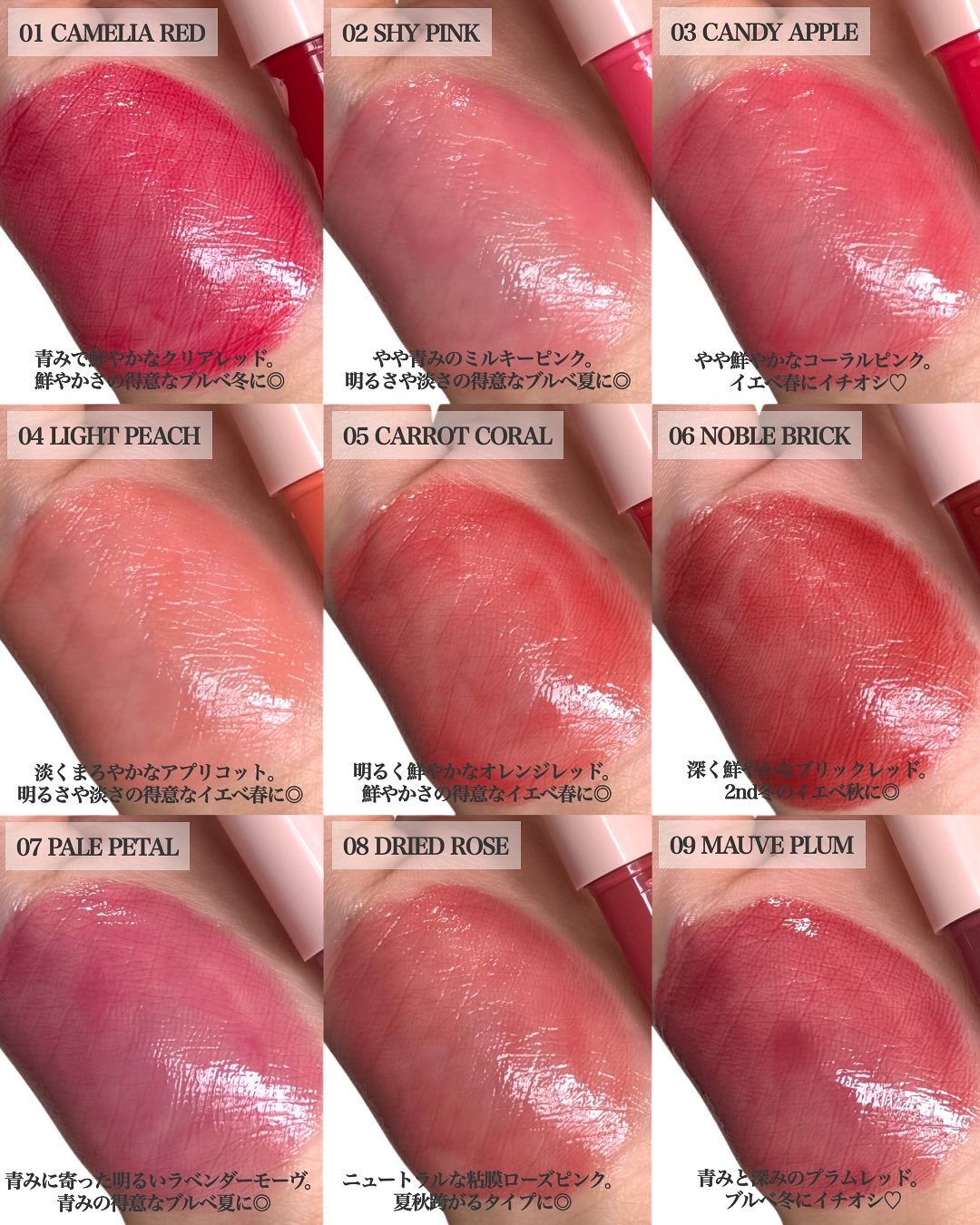 ヴィーガナイズコラーゲンリップガラスバーム 6番 ノーブルブリック/Veganize/リップグロスを使ったクチコミ（3枚目）