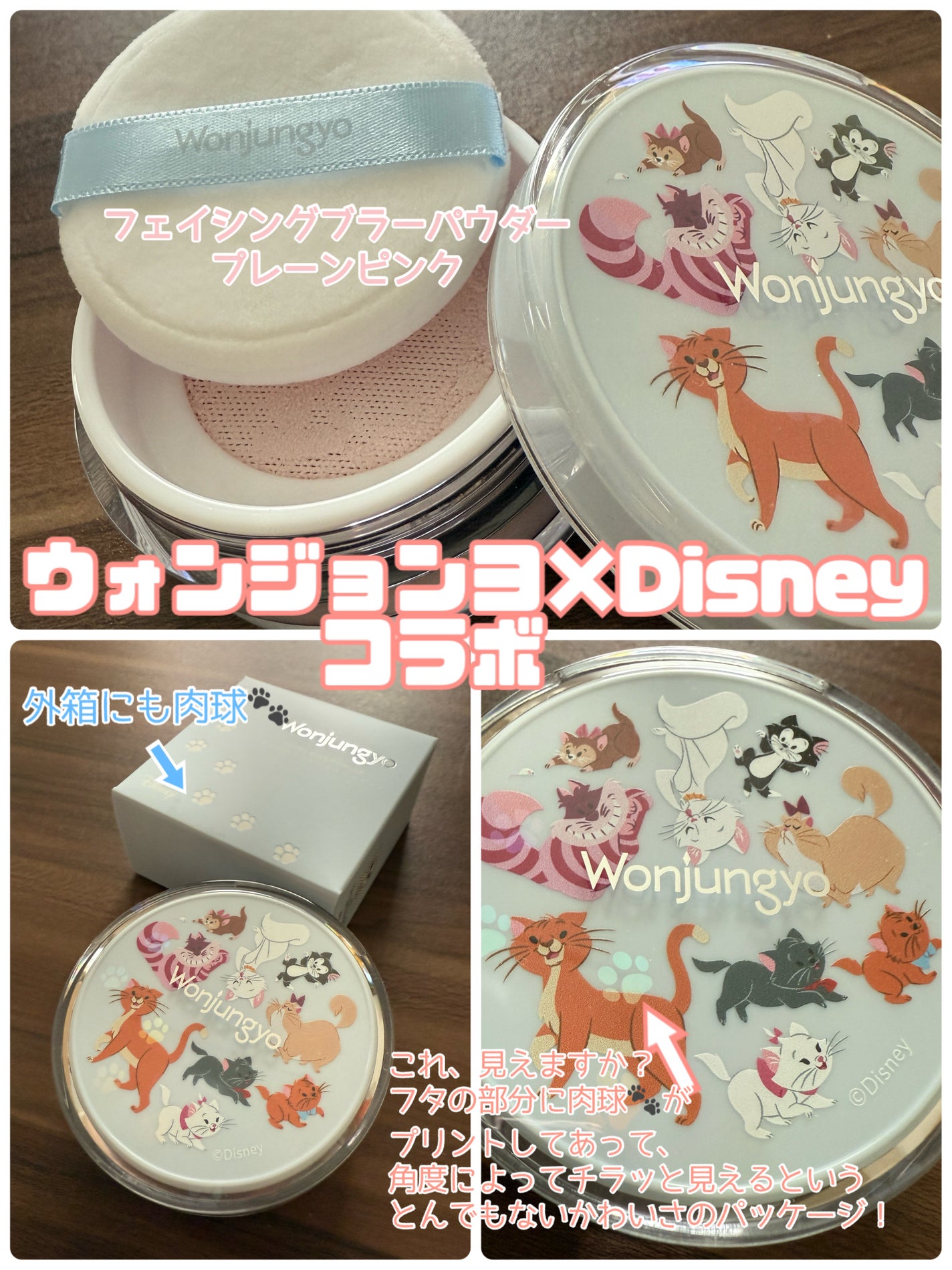 ウォンジョンヨ フィクシングブラーパウダー N/Wonjungyo/ルースパウダーを使ったクチコミ(1枚目)