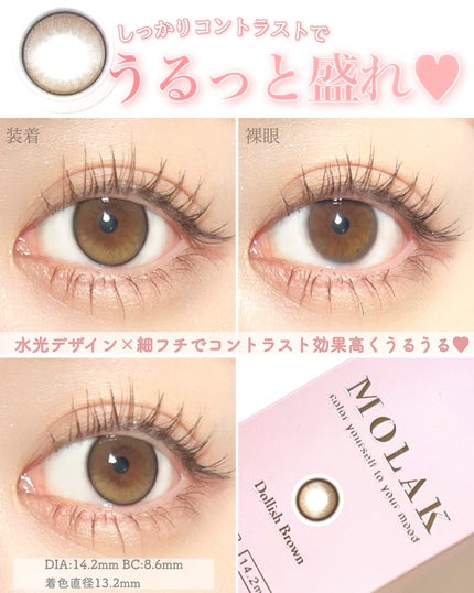 MOLAK 1day ドーリッシュブラウン/MOLAK/ワンデー(1DAY)カラコンを使ったクチコミ(2枚目)