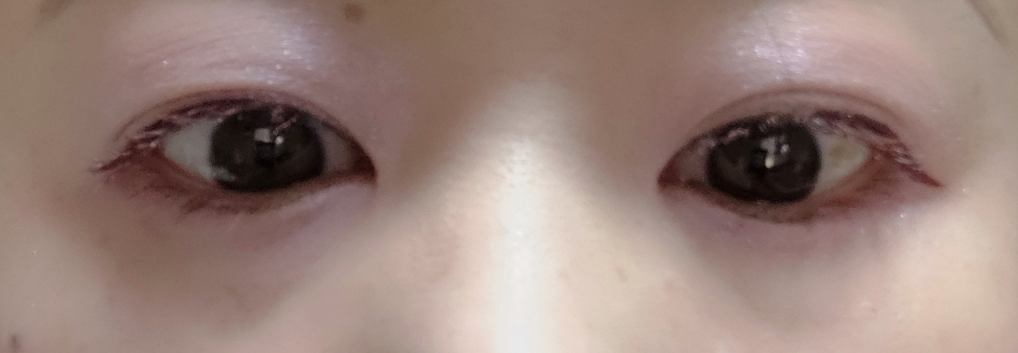 ジルスチュアート クリスタルブルーム ペタルクチュールアイズ デュオ/JILL STUART/アイシャドウパレットを使ったクチコミ（3枚目）