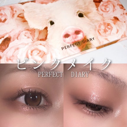 エクスプローラ12色 動物アイシャドウパレット/PERFECT DIARY/アイシャドウパレットを使ったクチコミ(1枚目)