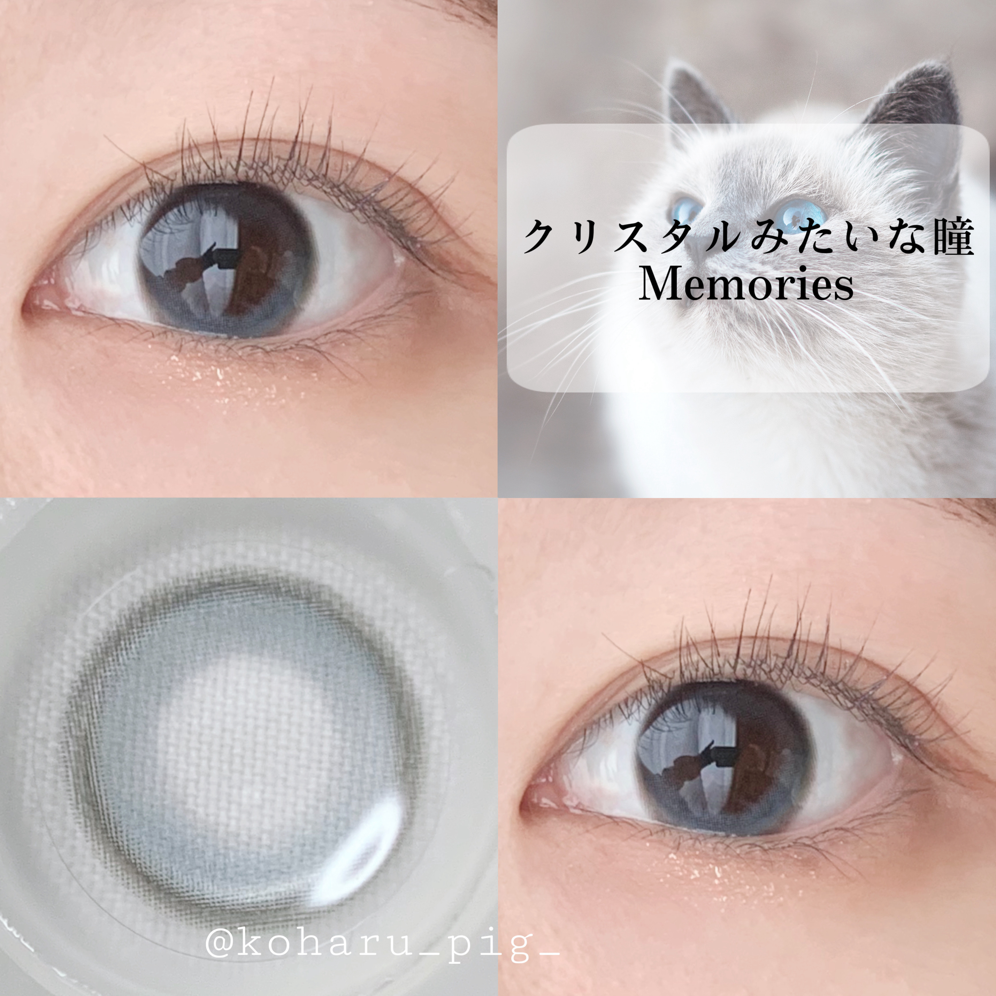 Whippy/Whippy/１ヶ月（１MONTH）カラコンを使ったクチコミ（1枚目）