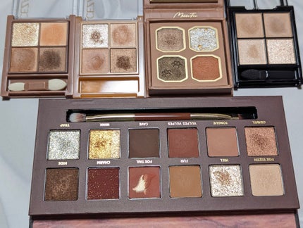 エクスプローラ12色 動物アイシャドウパレット/PERFECT DIARY/アイシャドウパレットを使ったクチコミ(4枚目)