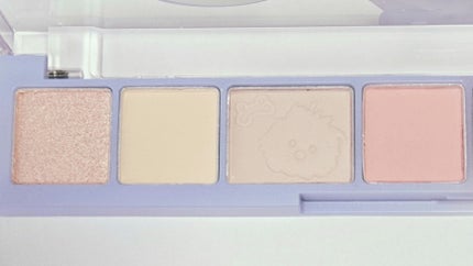 プロ アイ パレット エアー/CLIO/アイシャドウパレットを使ったクチコミ(4枚目)