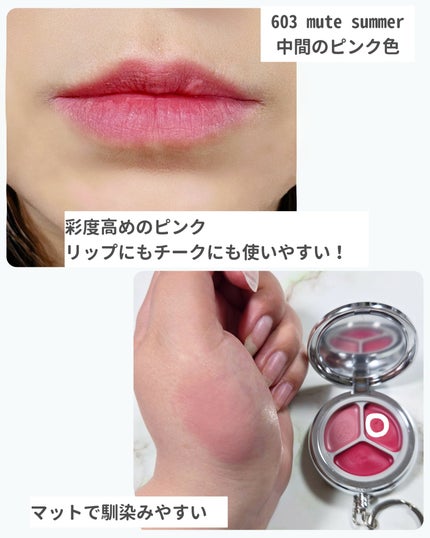 ブラーリングタイムトゥーキスアンドブラッシュ/Dinto/口紅を使ったクチコミ(4枚目)