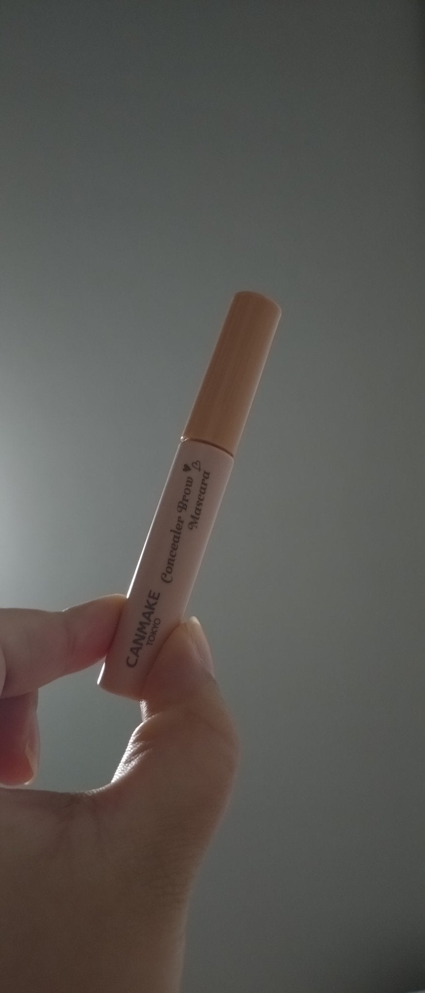 コンシーラーブロウマスカラ/キャンメイク/その他アイブロウを使ったクチコミ(2枚目)