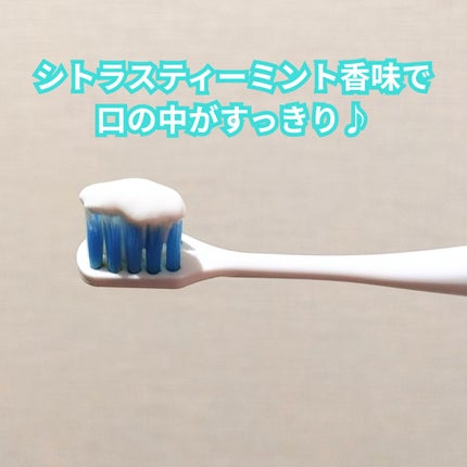 ハミガキPREMIUM/Lightee/歯磨き粉を使ったクチコミ(3枚目)