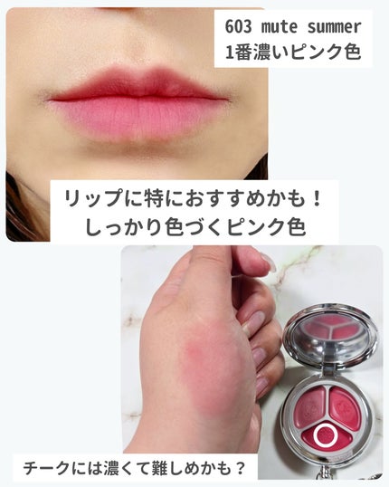 ブラーリングタイムトゥーキスアンドブラッシュ/Dinto/口紅を使ったクチコミ(5枚目)