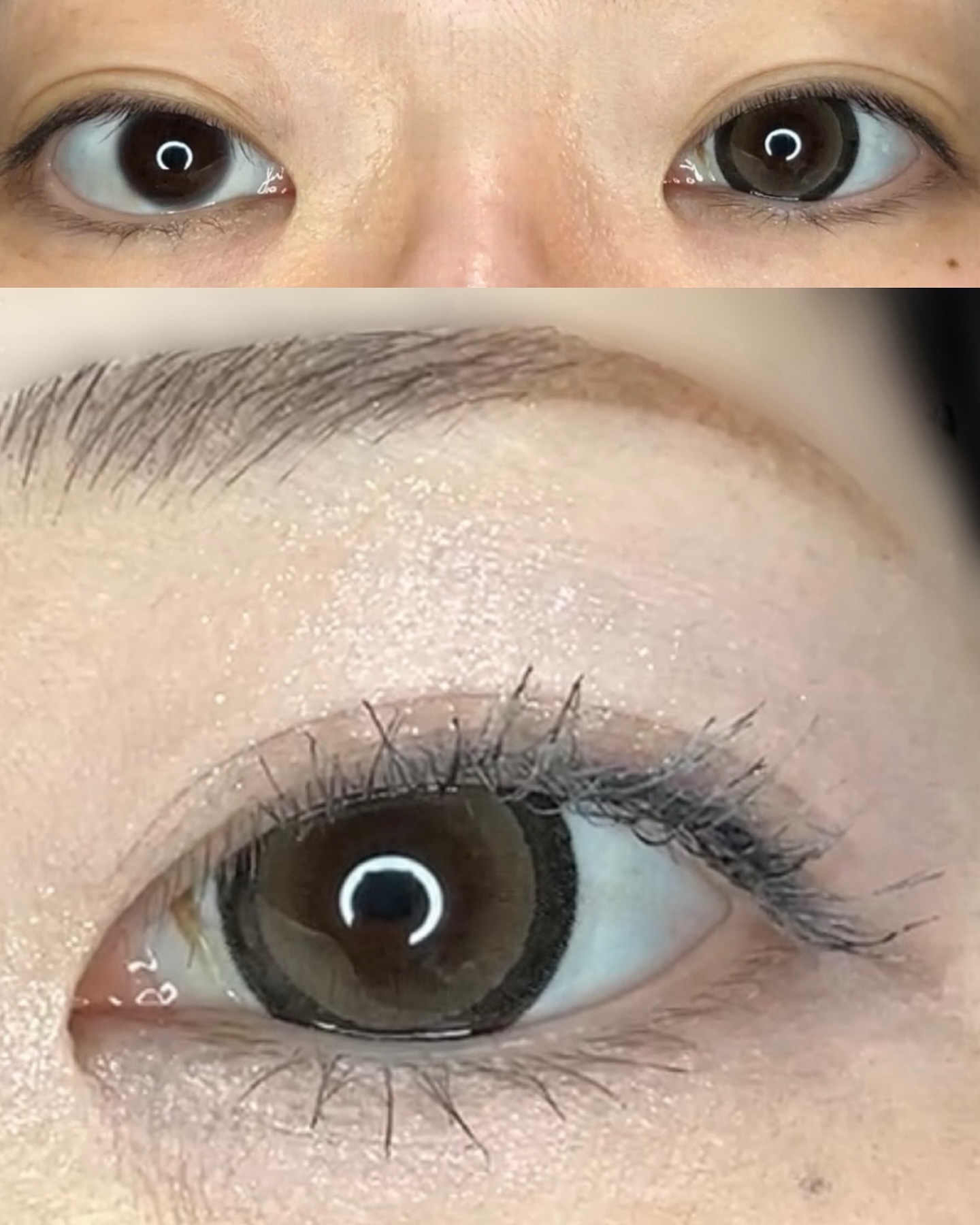 michou 1day/michou/ワンデー（１DAY）カラコンを使ったクチコミ（2枚目）