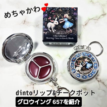 グローイングタイムトゥーキスアンドブラッシュ/Dinto/口紅を使ったクチコミ(1枚目)