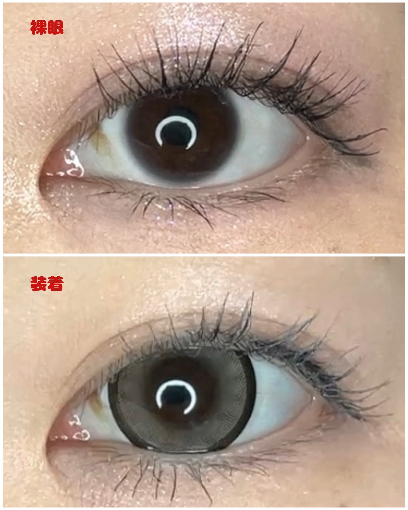 michou 1day/michou/ワンデー(1DAY)カラコンを使ったクチコミ(4枚目)