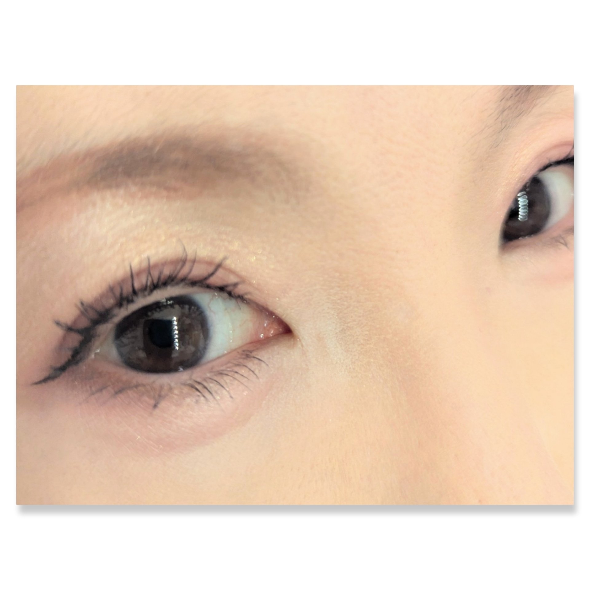 リアルアイハンディパレット/espoir/アイシャドウパレットを使ったクチコミ（2枚目）