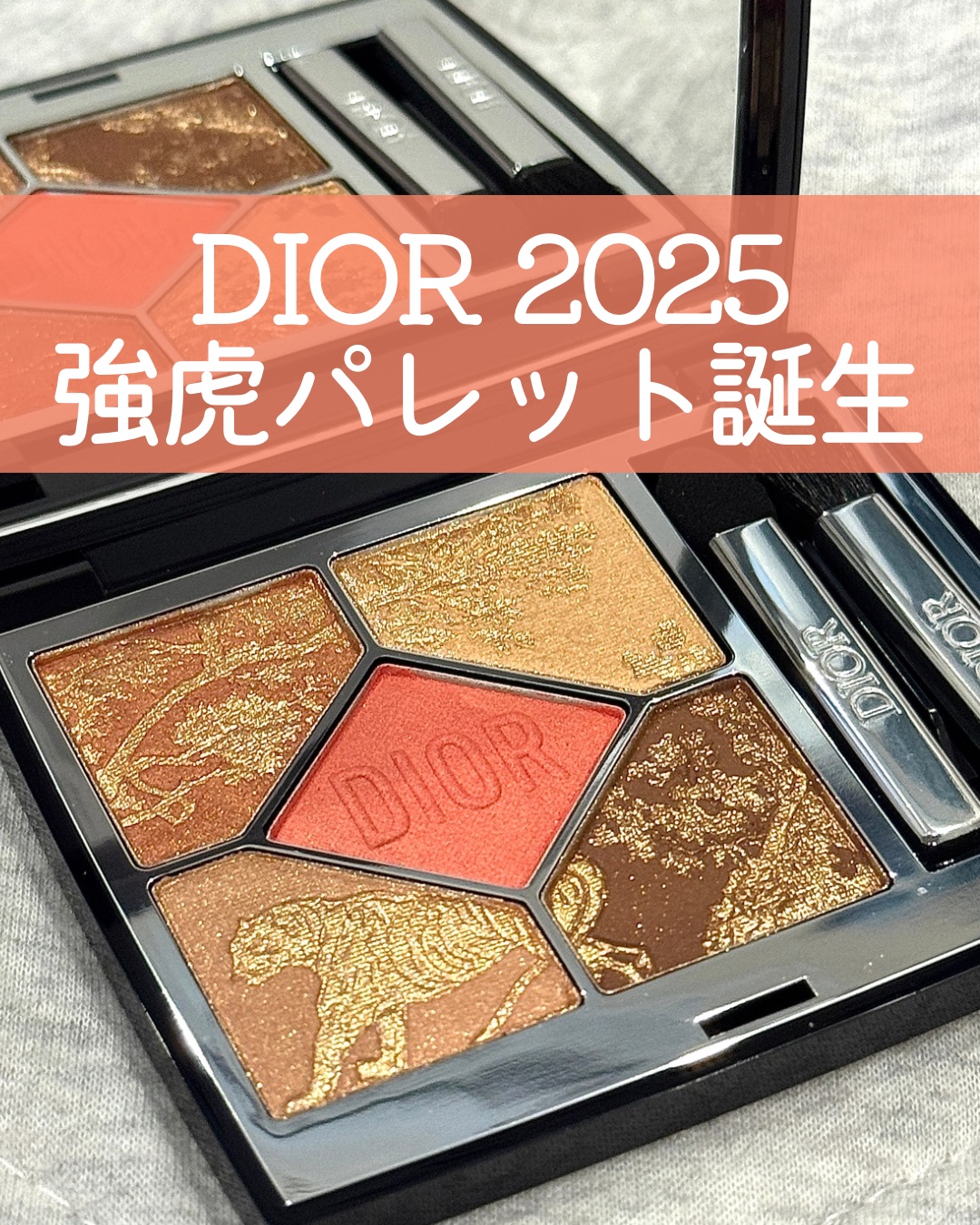 ディオールショウ サンク クルール/Dior/アイシャドウを使ったクチコミ（1枚目）