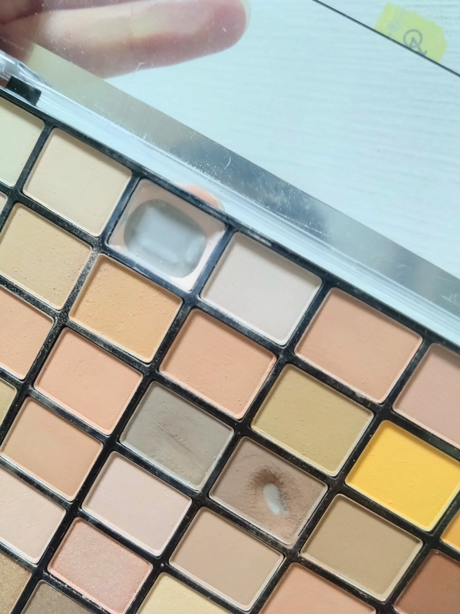 プロフェッショナルボリューム100カラー/Dolly Angel/アイシャドウパレットを使ったクチコミ（1枚目）