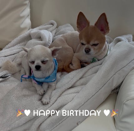 pa ネイルカラー プレミア/pa nail collective/マニキュアを使ったクチコミ(6枚目)