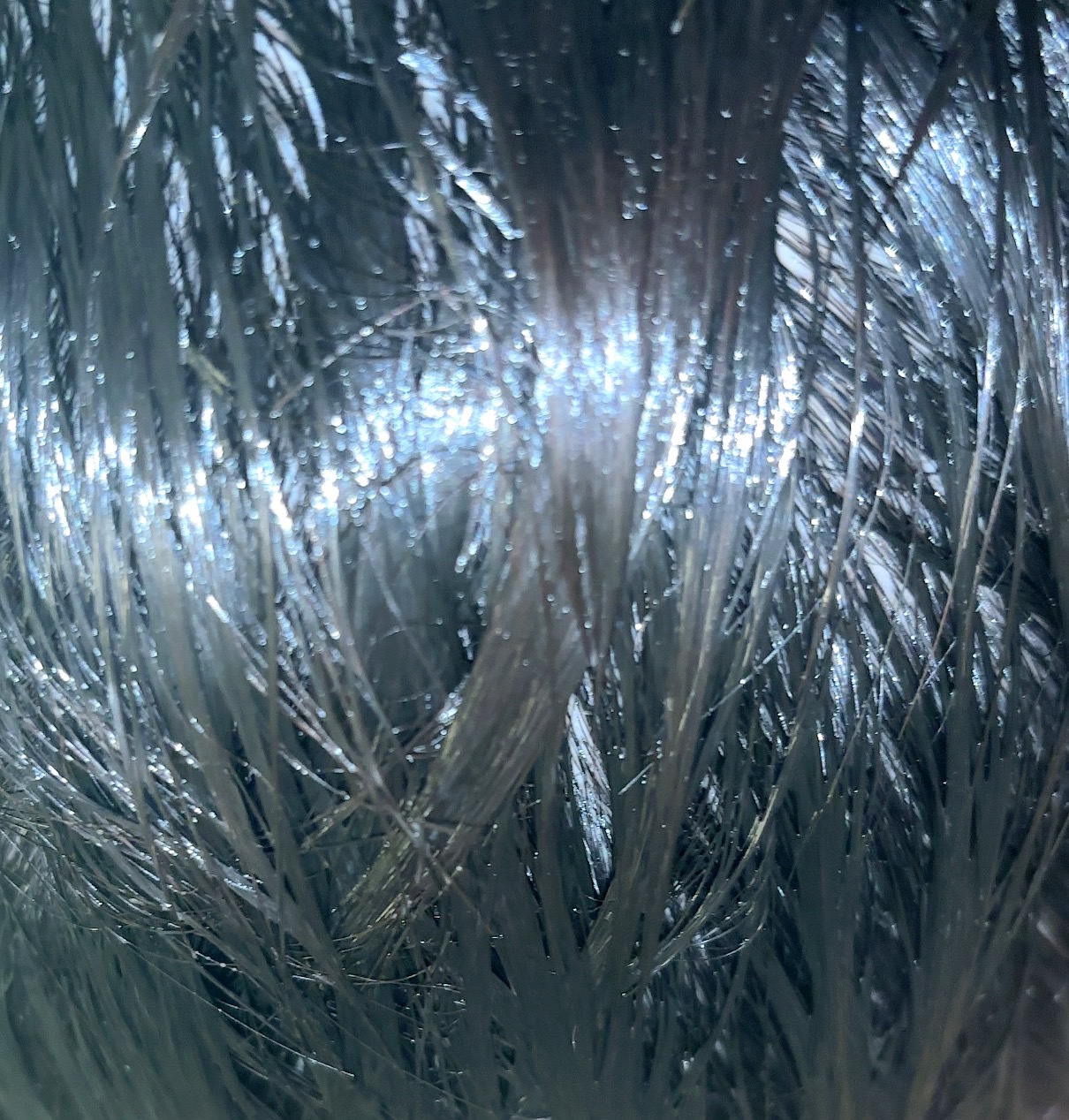 R-21 トリートメント/サンコール/洗い流すヘアトリートメントを使ったクチコミ（3枚目）