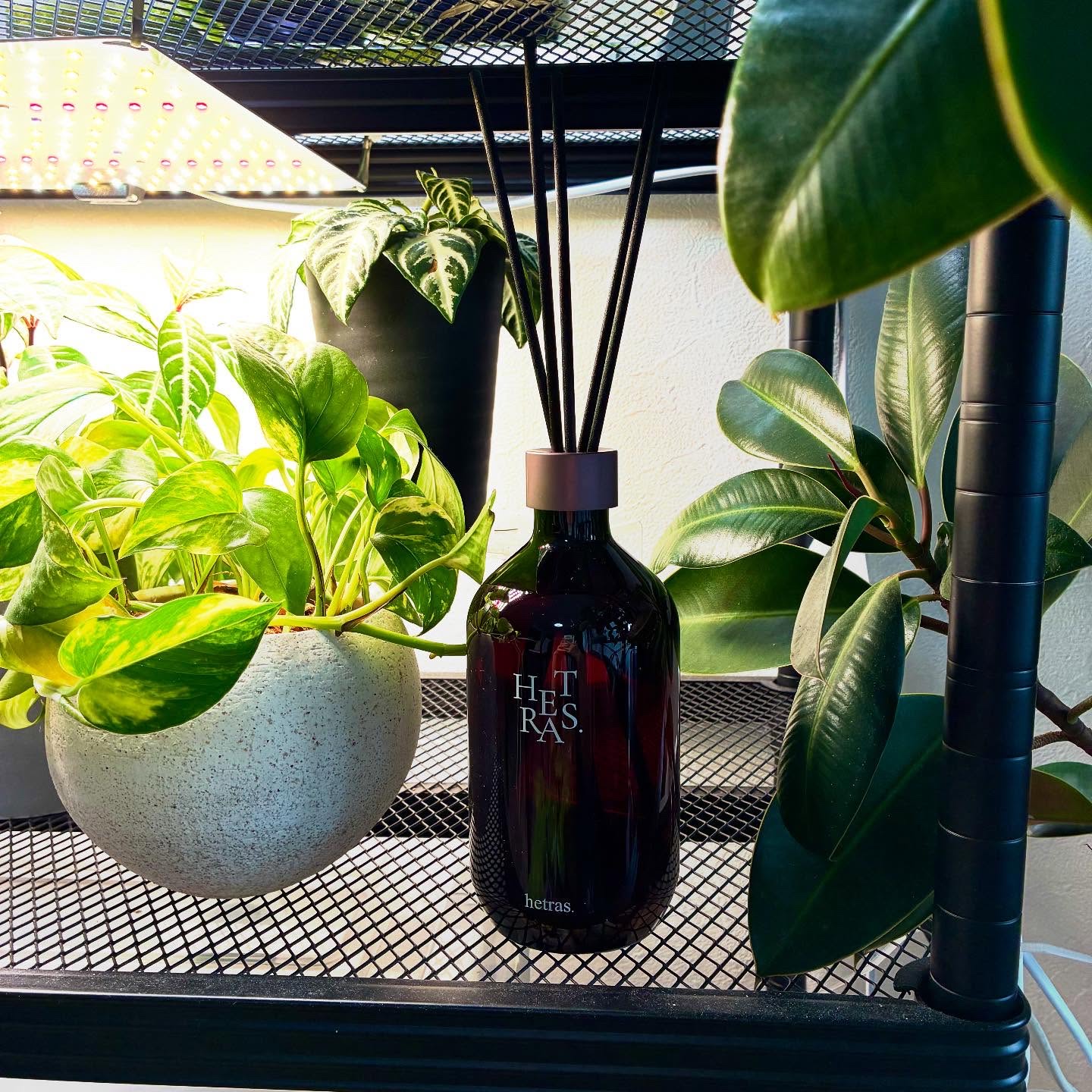 プレミアムディフューザー/hetras/ルームフレグランスを使ったクチコミ（2枚目）