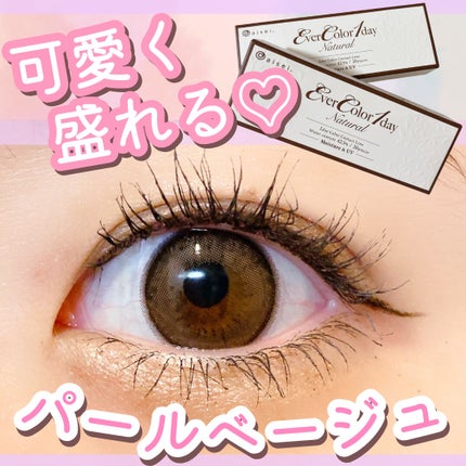 エバーカラーワンデー ナチュラル/エバーカラー/ワンデー(1DAY)カラコンを使ったクチコミ(1枚目)