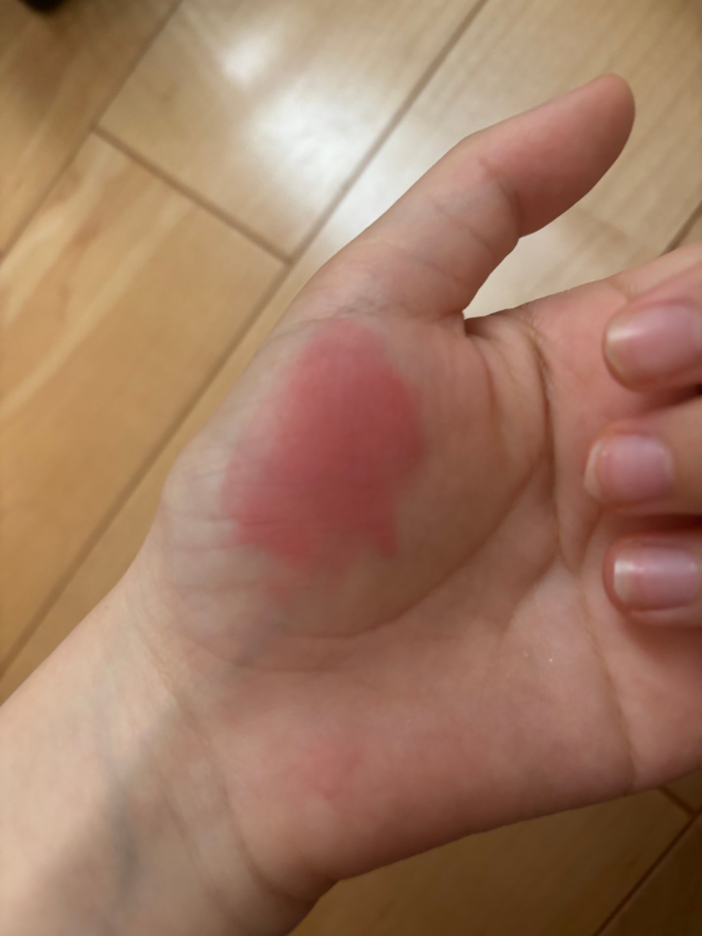 パウダーベルベットティント/AMUSE/リップティントを使ったクチコミ(2枚目)