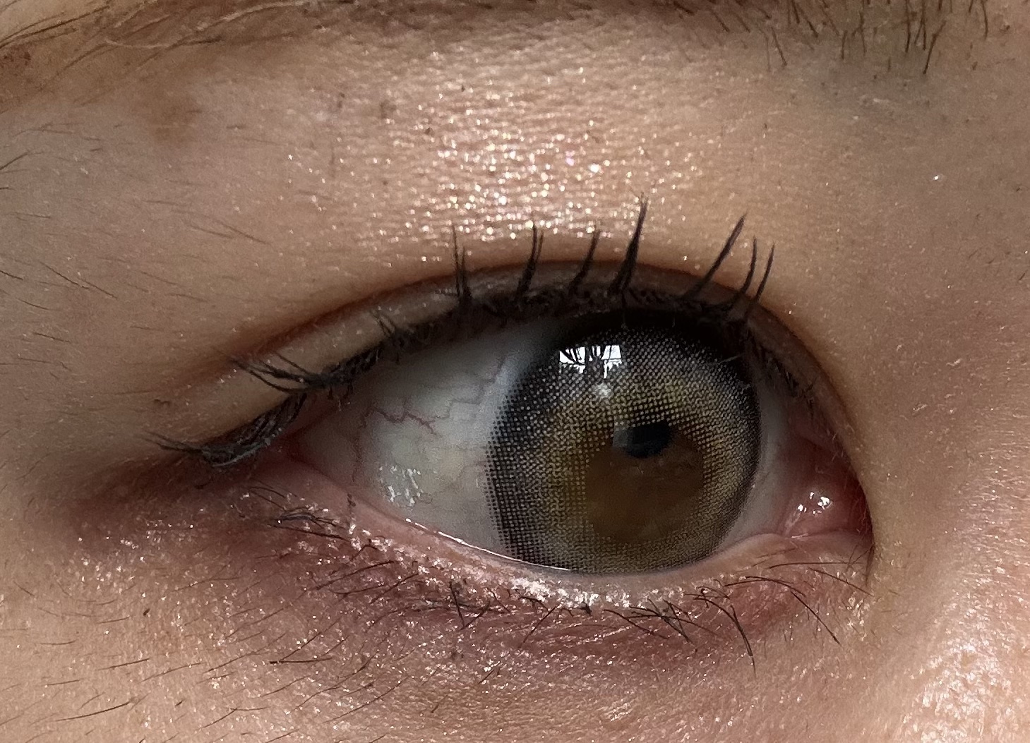 カールキープマジック/コーセーコスメニエンス/マスカラを使ったクチコミ（2枚目）