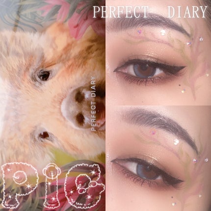 エクスプローラ12色 動物アイシャドウパレット/PERFECT DIARY/アイシャドウパレットを使ったクチコミ(1枚目)