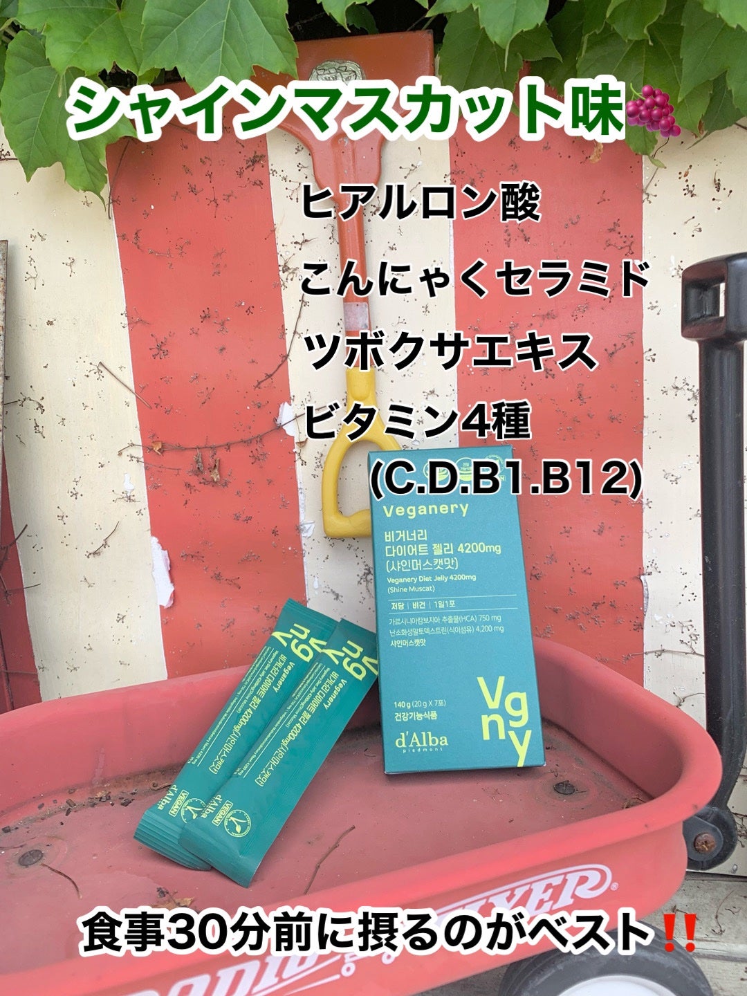 ヴィーガナリー ダイエットゼリー/ダルバ/バランス栄養食を使ったクチコミ(2枚目)