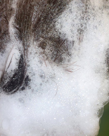 ストレートリカバリーシャンプー/Dr.Once/市販シャンプーを使ったクチコミ(4枚目)