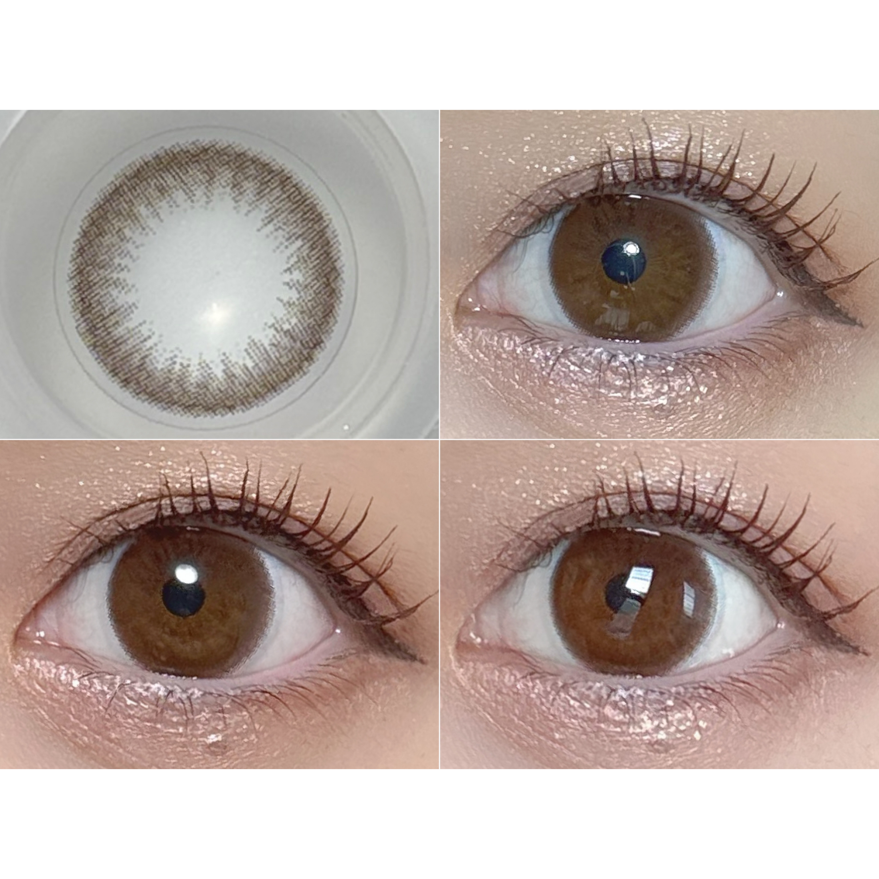 ReVIA CIRCLE 1day/ReVIA/ワンデー（１DAY）カラコンを使ったクチコミ（2枚目）