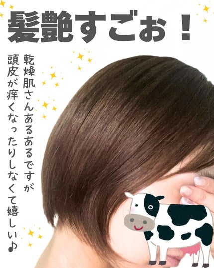 シャンプー/トリートメント <さらさらケア>/カウブランド無添加/市販シャンプーを使ったクチコミ(4枚目)