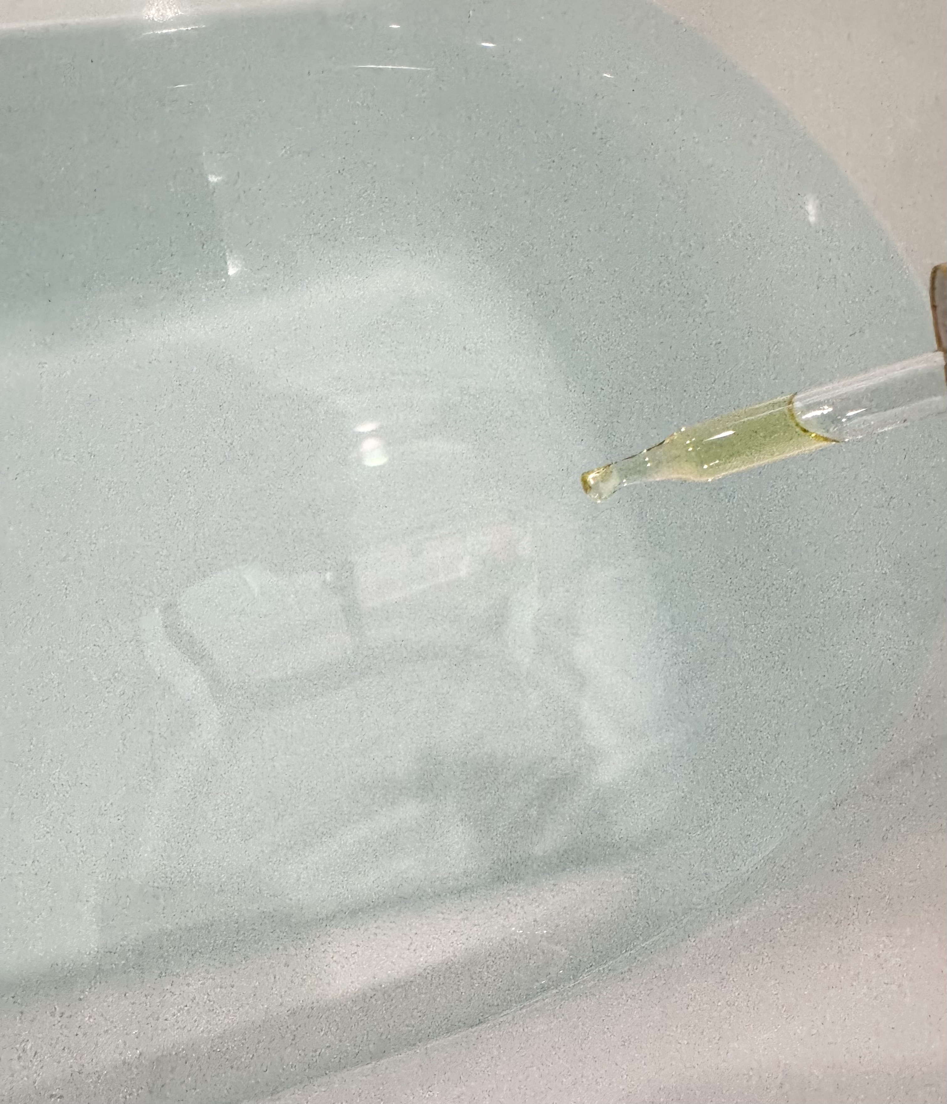 バスアロマ ハーモニーオブブロッサム/EASECBD/保湿系入浴剤を使ったクチコミ（3枚目）