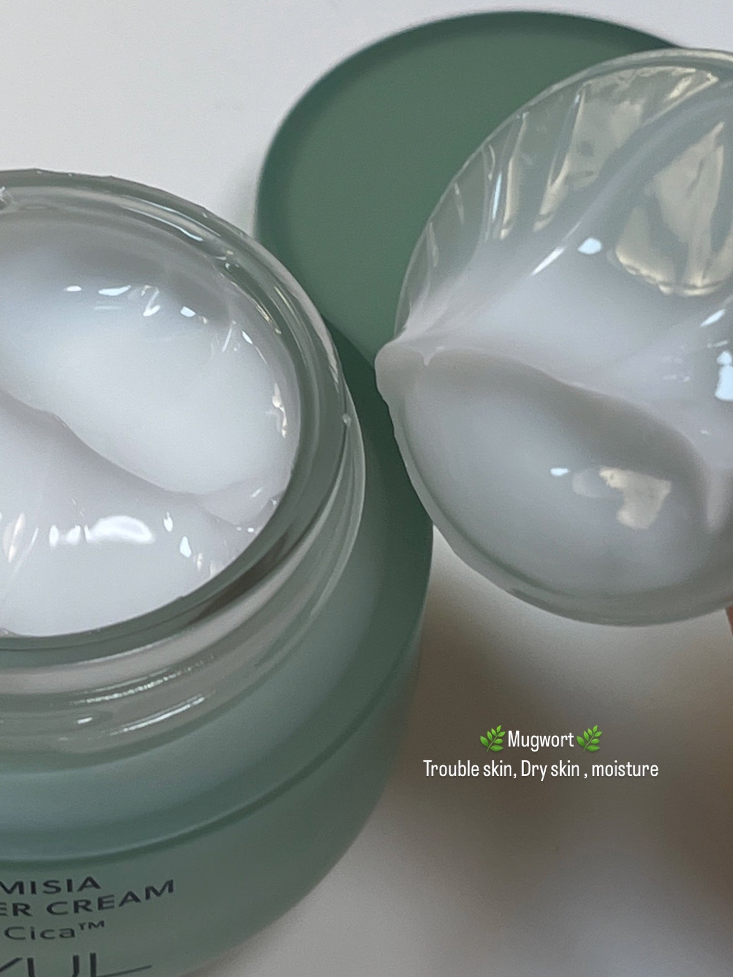 ピュアアルテミシア カーミングウォータークリーム/HANYUL(ハンユル)/フェイスクリームを使ったクチコミ(4枚目)