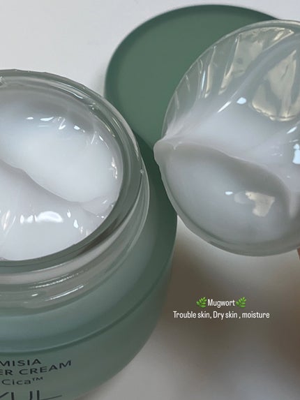 ピュアアルテミシア カーミングウォータークリーム/HANYUL(ハンユル)/フェイスクリームを使ったクチコミ(4枚目)