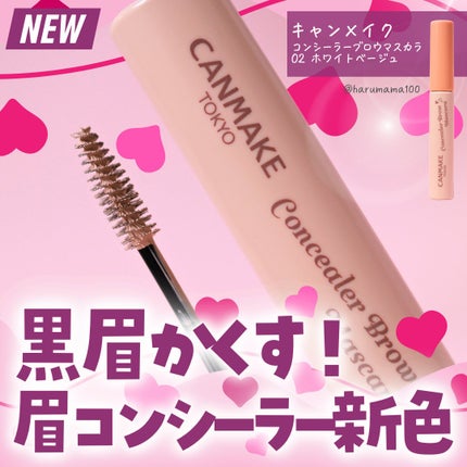 コンシーラーブロウマスカラ/キャンメイク/その他アイブロウを使ったクチコミ(1枚目)