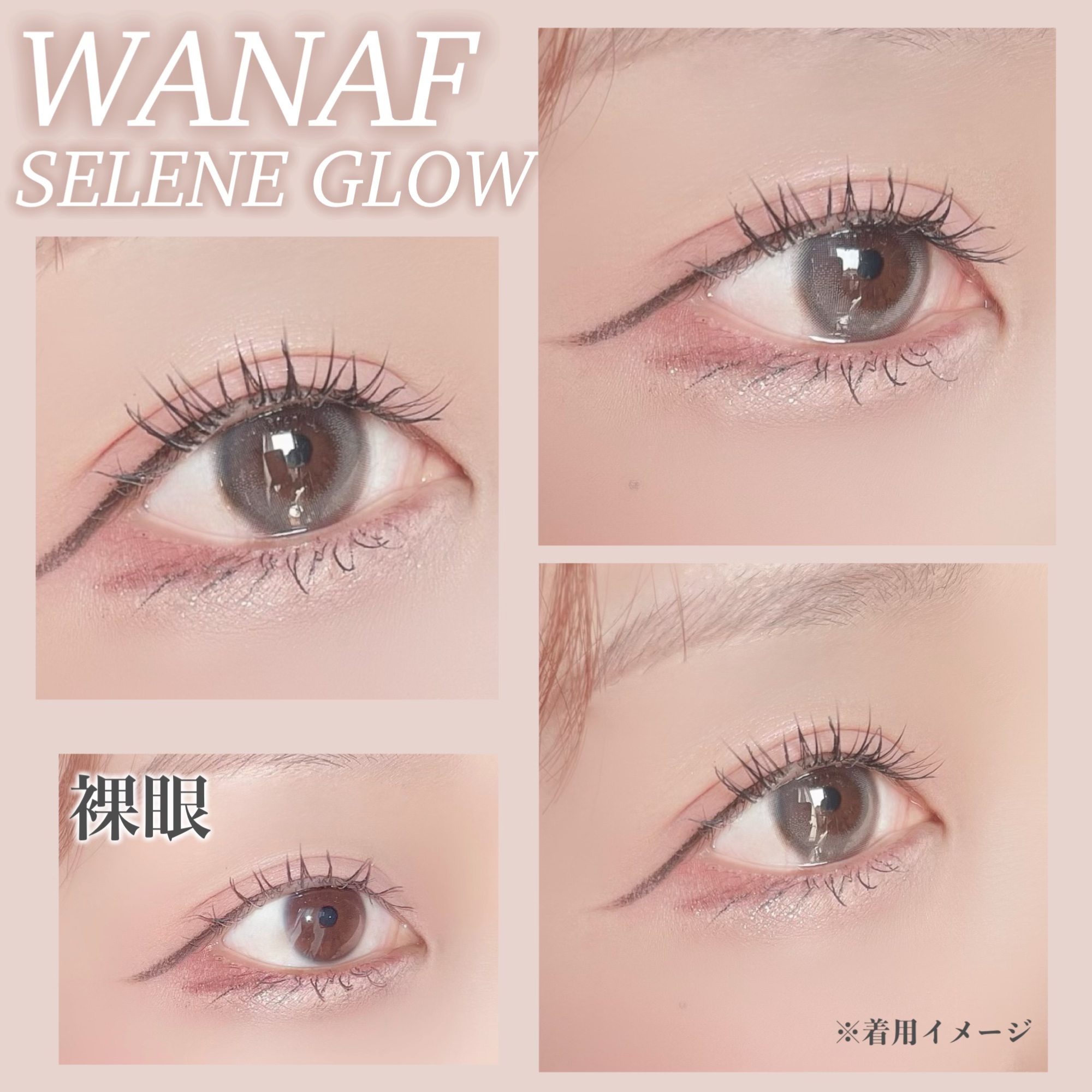 WANAF 1day セレングロー(SELENE GLOW)/WANAF/ワンデー（１DAY）カラコンを使ったクチコミ（3枚目）