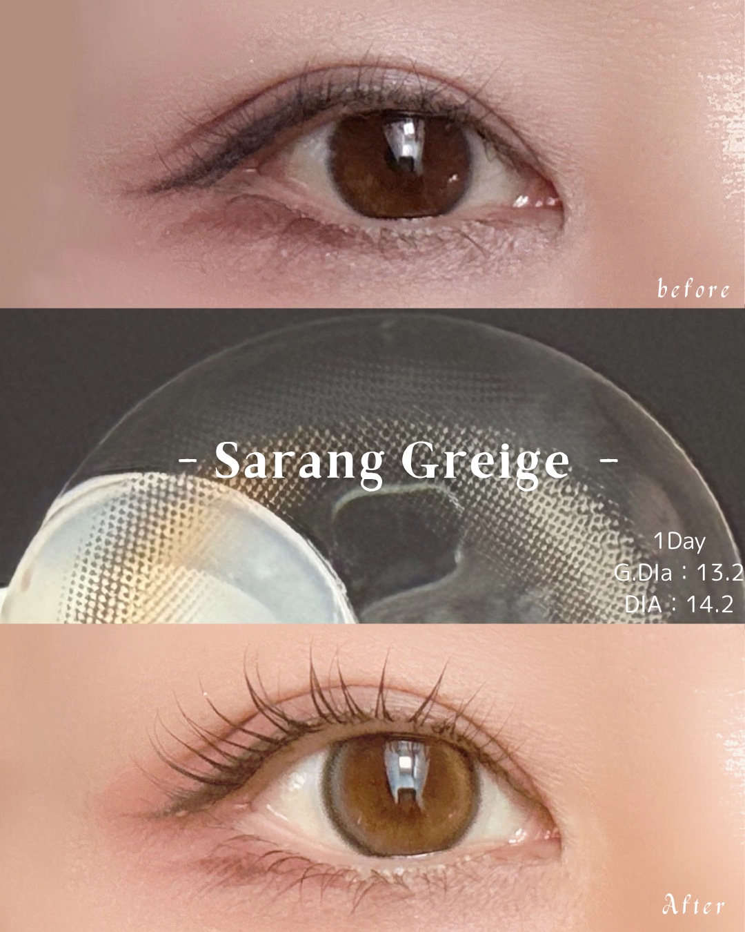 ANGÉLIQUE 1day サラングレージュ(Sarang Greige)/ANGÉLIQUE/ワンデー（１DAY）カラコンを使ったクチコミ（2枚目）