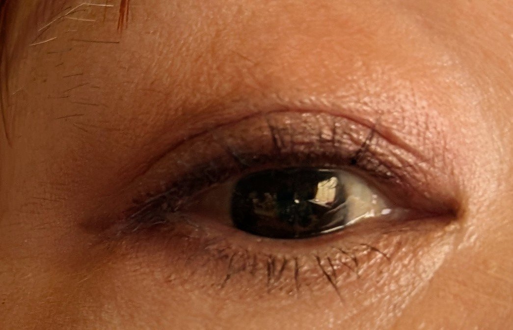 ニュアンス デューイ クリエイター/Visée/アイシャドウパレットを使ったクチコミ（2枚目）