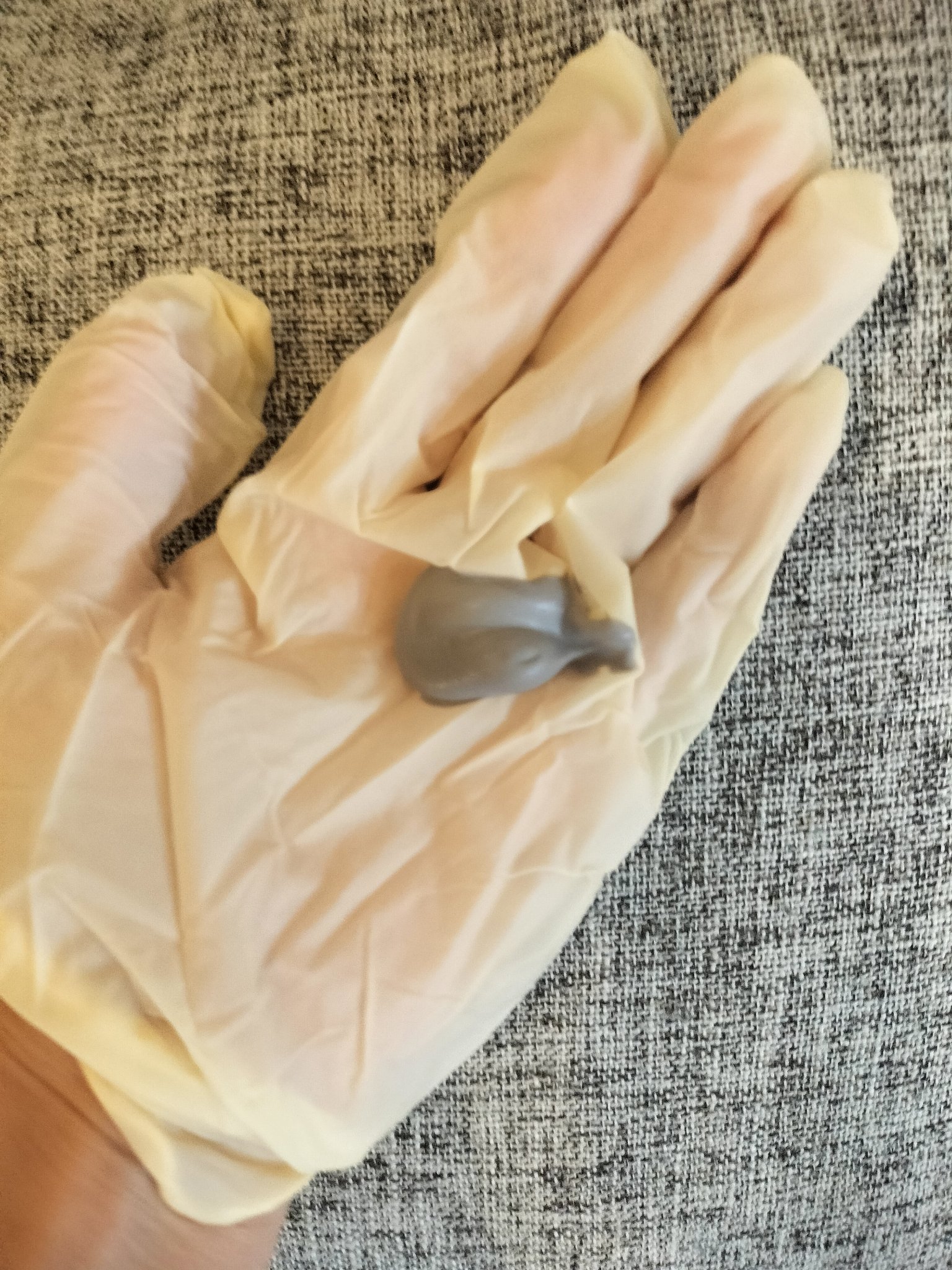 エアリー カラーリング フォーム/b.ris/ヘアカラーを使ったクチコミ（3枚目）