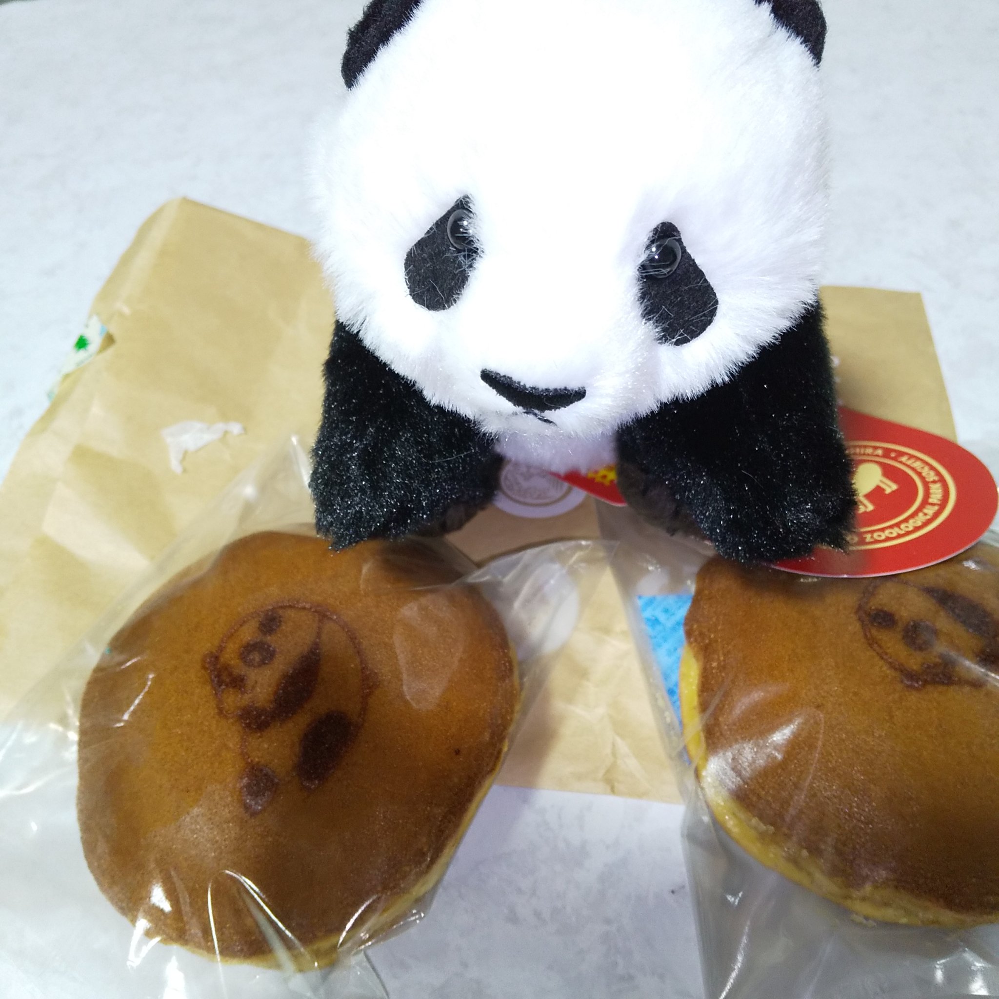 セラム シールド 40g/ONE BY KOSE/フェイスバームを使ったクチコミ（1枚目）