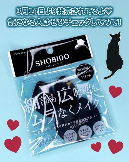 ディテールフィットパフ 2P/SHOBIDO/パフ・スポンジを使ったクチコミ(7枚目)