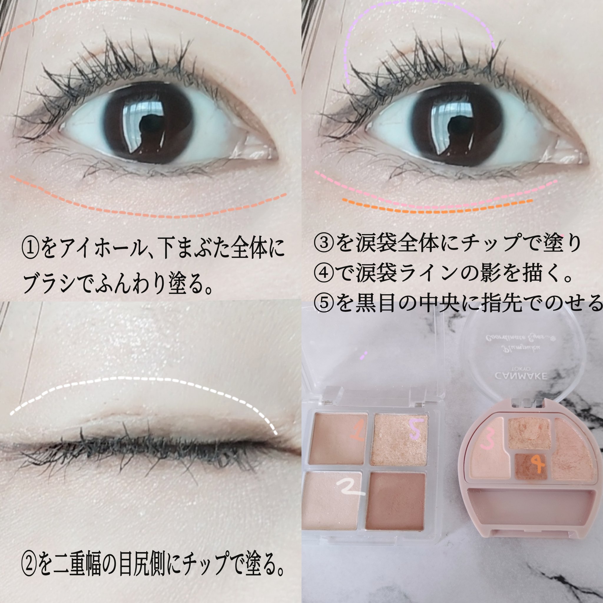 プランぷくコーデアイズ/キャンメイク/パウダーアイシャドウを使ったクチコミ（2枚目）